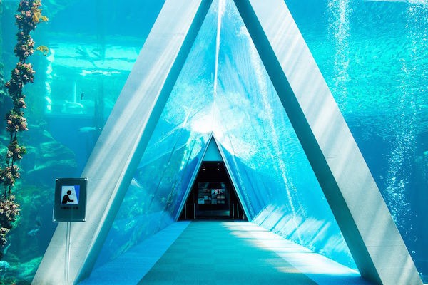 アクアマリンふくしま アクアマリンふくしま