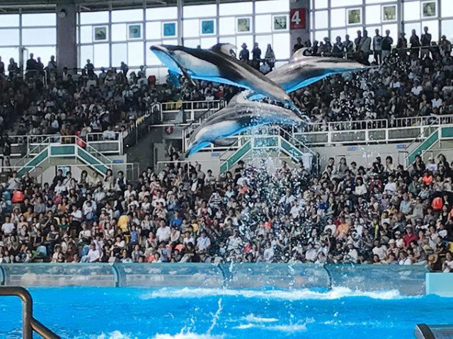 アドベンチャーワールド アドベンチャーワールド