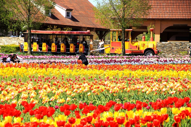 滋賀農業公園ブルーメの丘 滋賀農業公園ブルーメの丘
