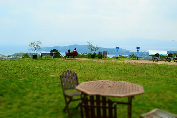 牛窓オリーブ園 牛窓オリーブ園