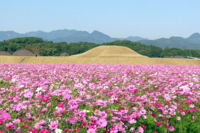 西都原古墳群 西都原古墳群
