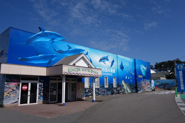 越前松島水族館 越前松島水族館
