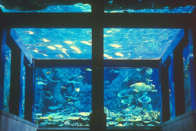 鳥羽水族館 鳥羽水族館