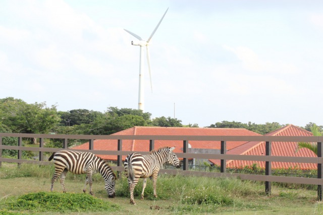 うちなーファーム うちなーファーム