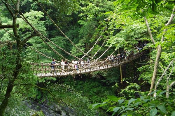 かずら橋 かずら橋