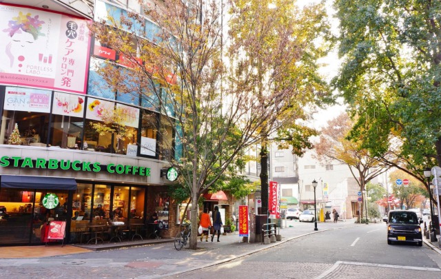 シャワー通り シャワー通り