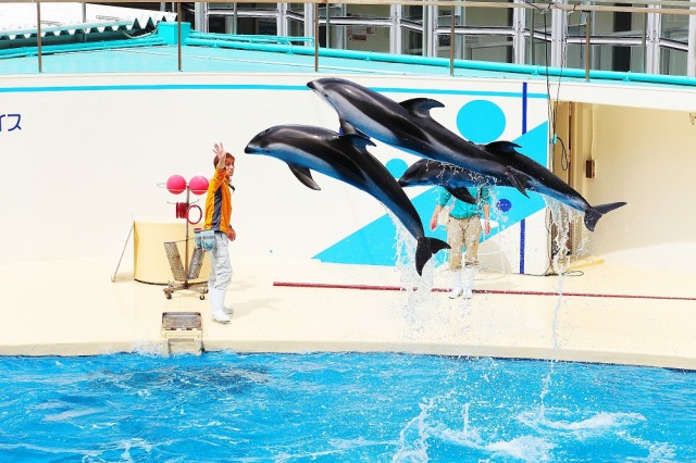 伊豆三津シーパラダイス 伊豆三津シーパラダイス