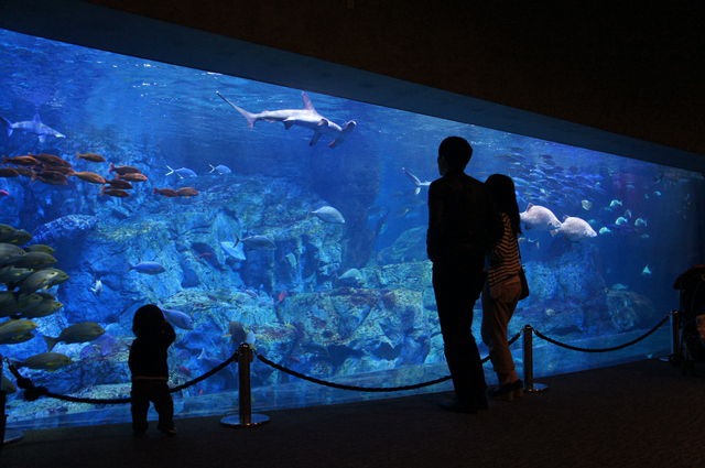 大分マリーンパレス水族館「うみたまご」 大分マリーンパレス水族館「うみたまご」