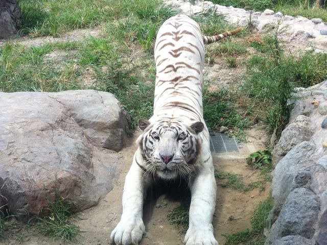 平川動物公園 平川動物公園