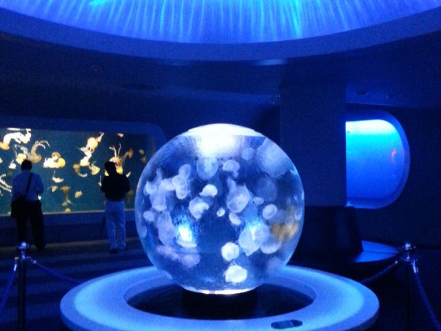 新江ノ島水族館