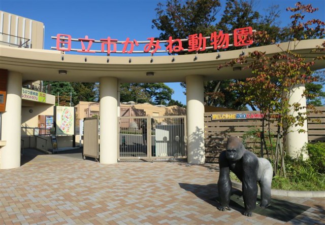日立市かみね動物園 日立市かみね動物園
