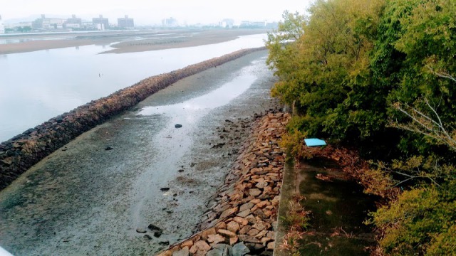 木太海浜緑地 木太海浜緑地