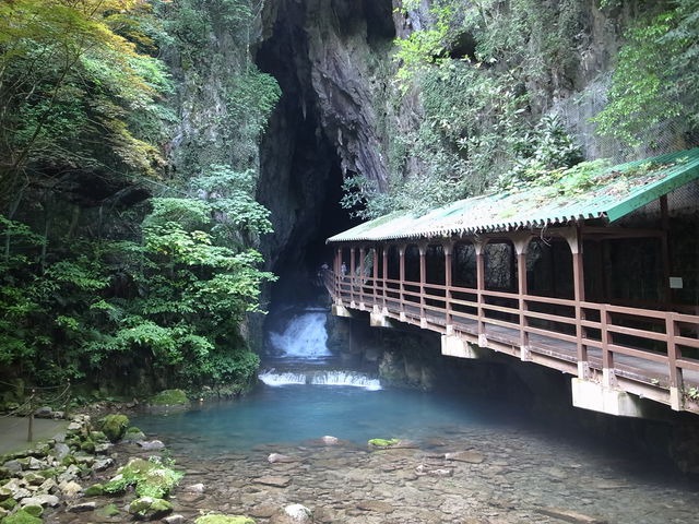 秋芳洞 秋芳洞