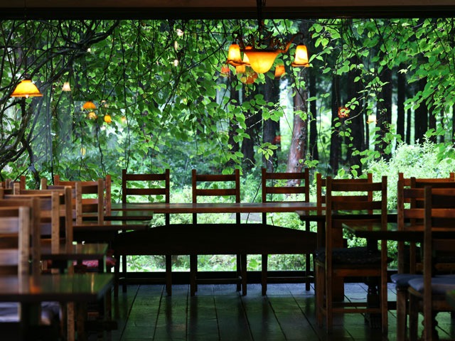 空の庭 自然レストラン 空の庭 自然レストラン