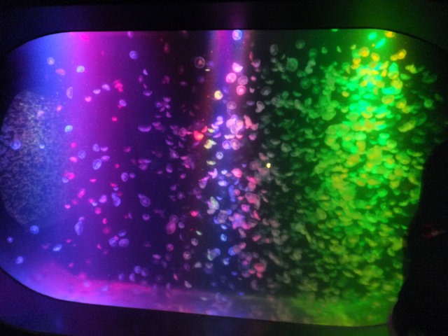 鶴岡市立加茂水族館 鶴岡市立加茂水族館